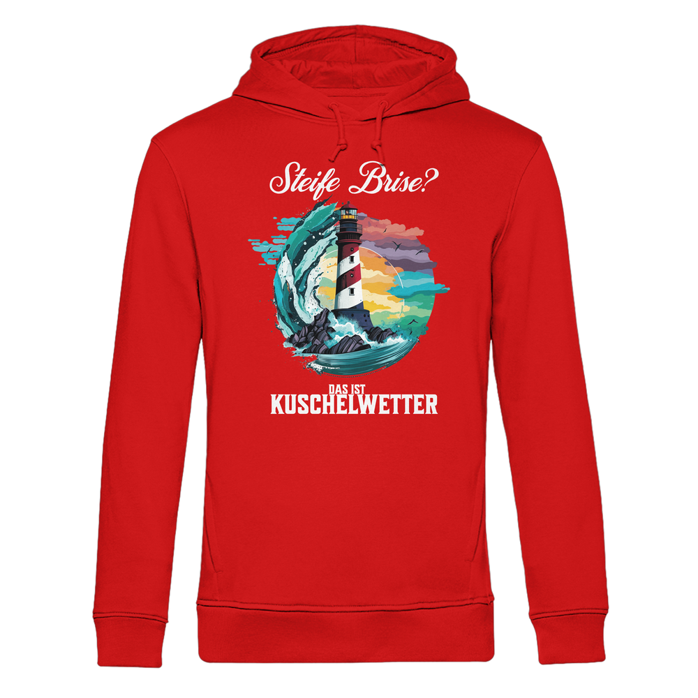 Steife Brise das ist Kuschelwetter Nordsee Spruch - Herren Bio Hoodie - Kiebitzdelle